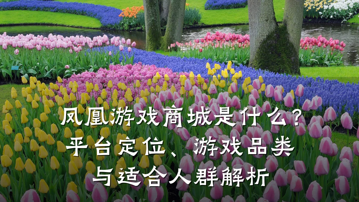 凤凰游戏商城是什么？平台定位、游戏品类与适合人群解析