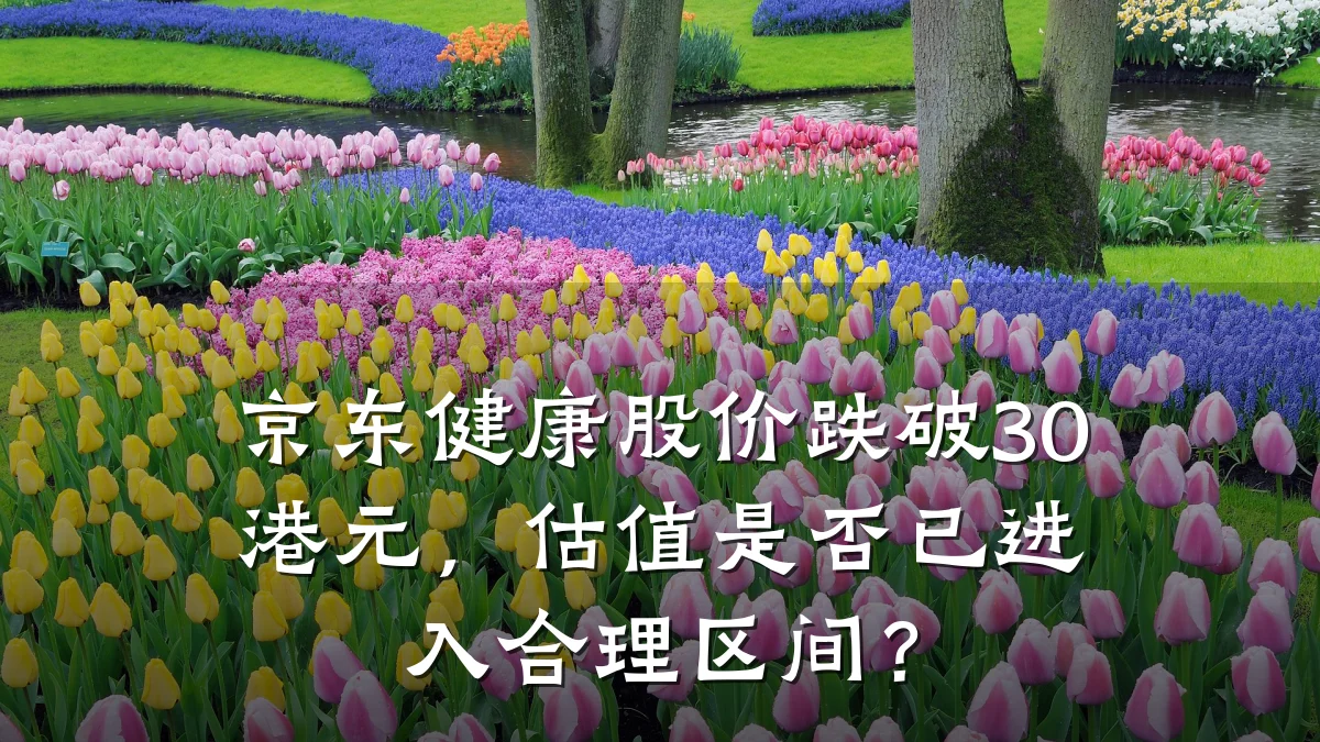 京东健康股价跌破30港元,估值是否已进入合理区间?