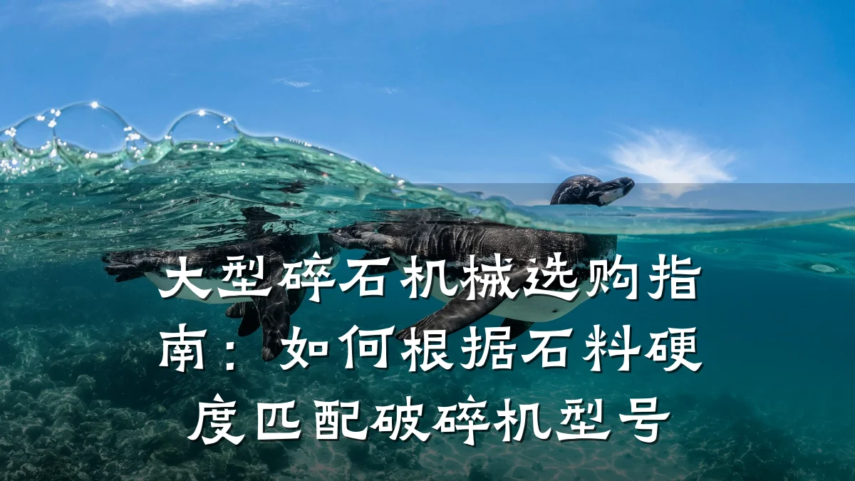 大型碎石机械选购指南:如何根据石料硬度匹配破碎机型号