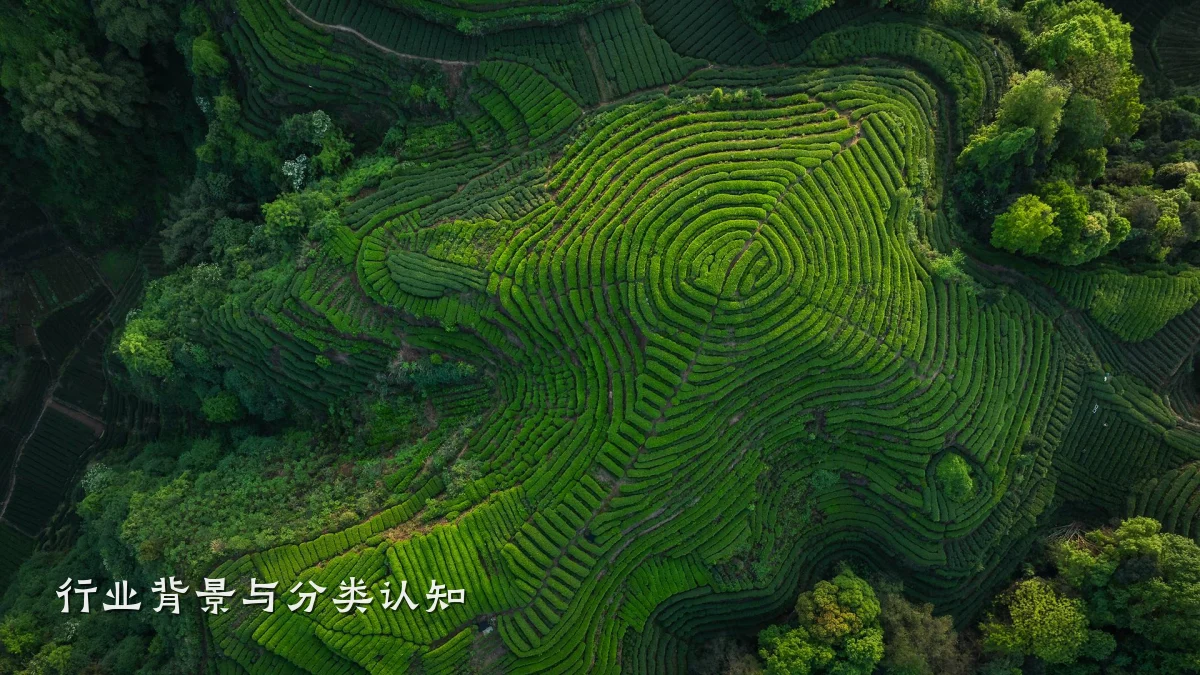 行业背景与分类认知