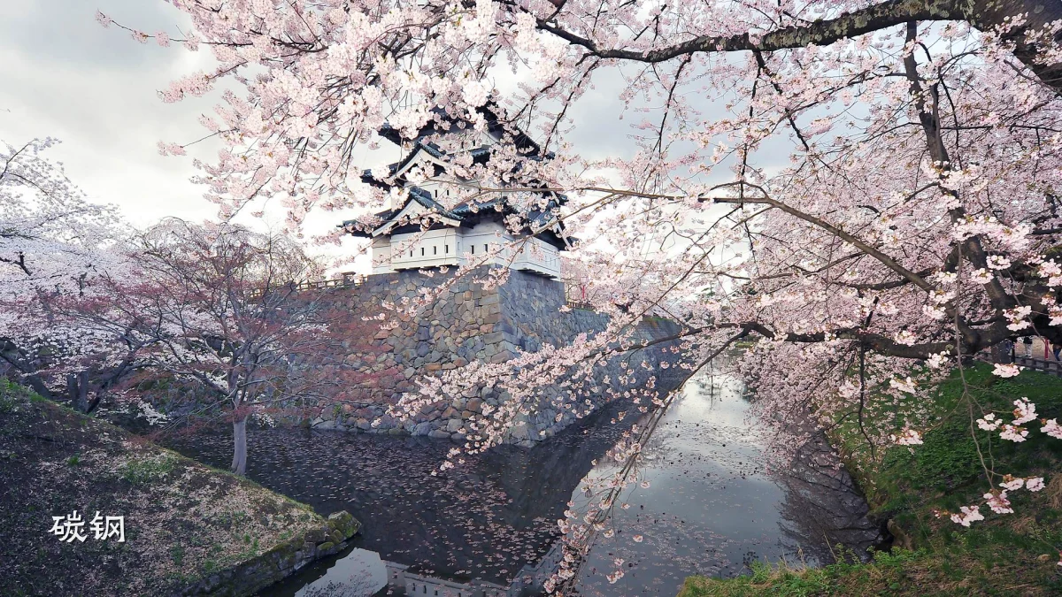 碳钢