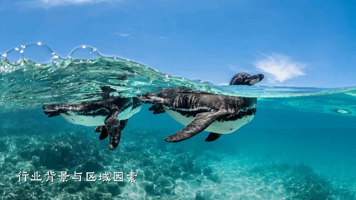 行业背景与区域因素