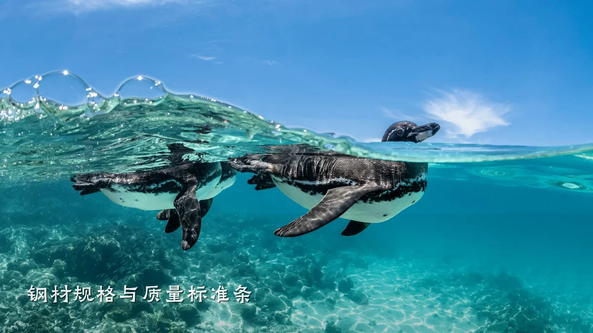 钢材规格与质量标准条