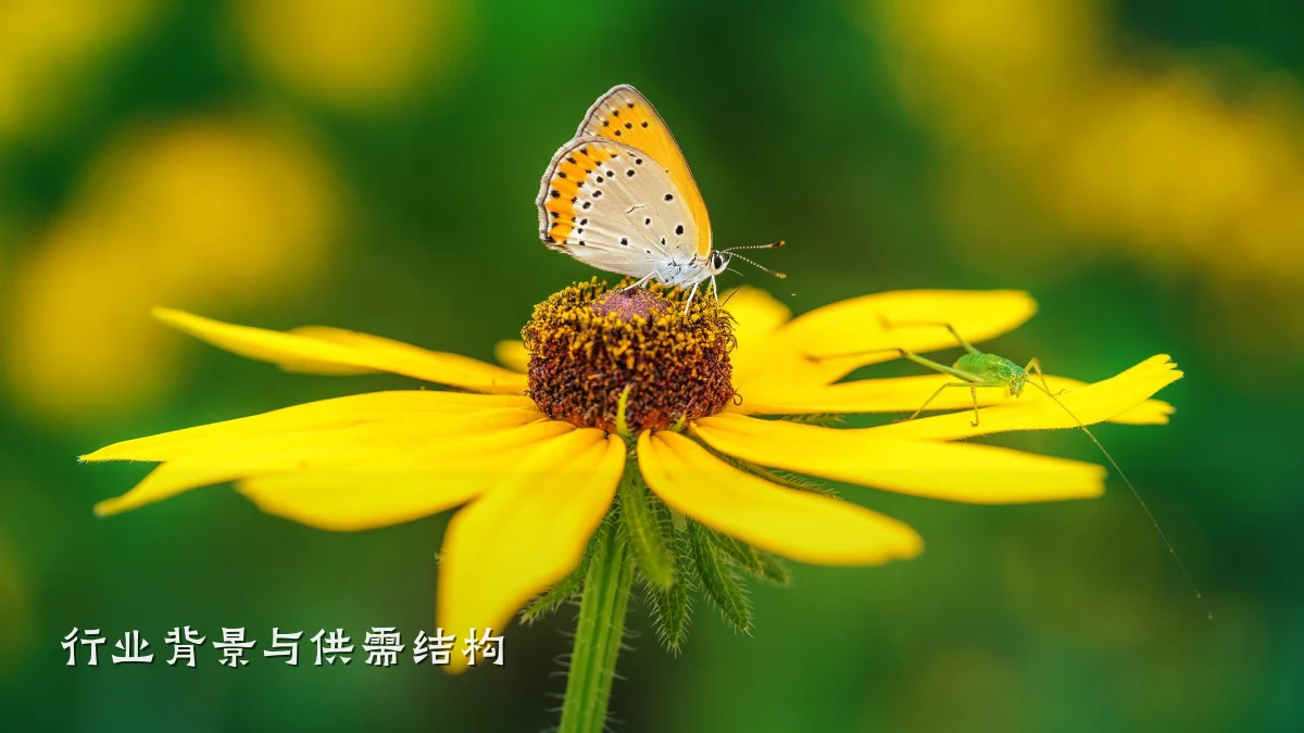 行业背景与供需结构
