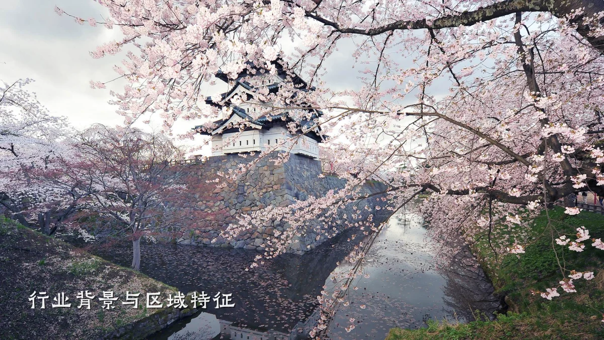 行业背景与区域特征