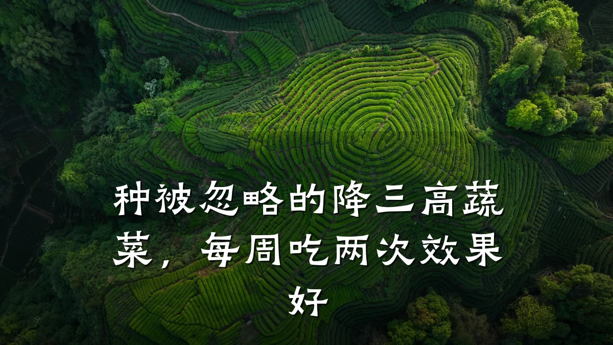 种被忽略的降三高蔬菜,每周吃两次效果好