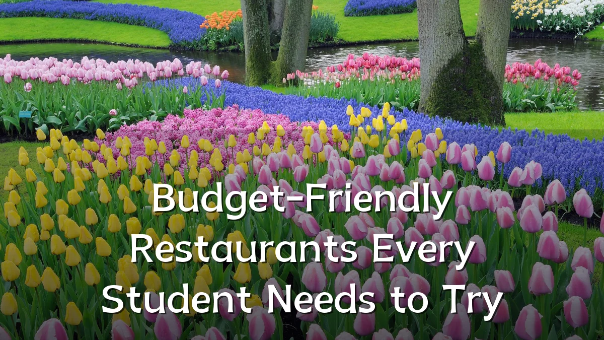 Budget-Friendly Restaurants Every Student Needs to Try