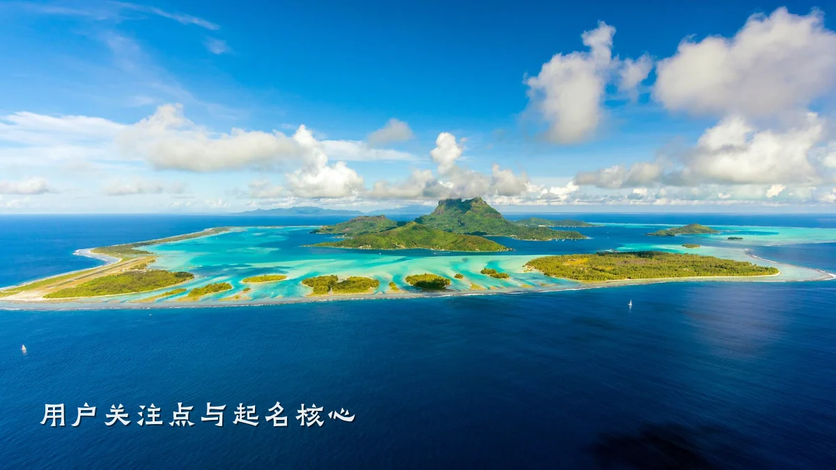 用户关注点与起名核心