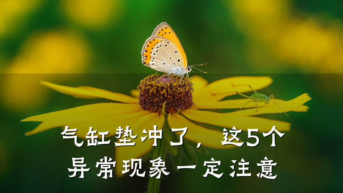 气缸垫冲了,这5个异常现象一定注意