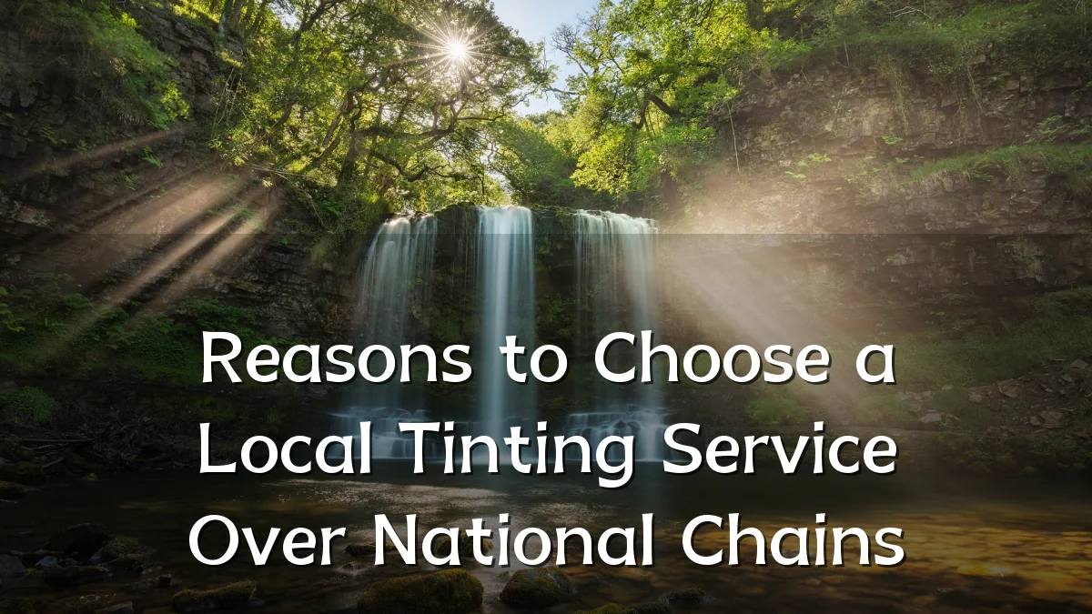 Reasons to Choose a Local Tinting Service Over National Chains