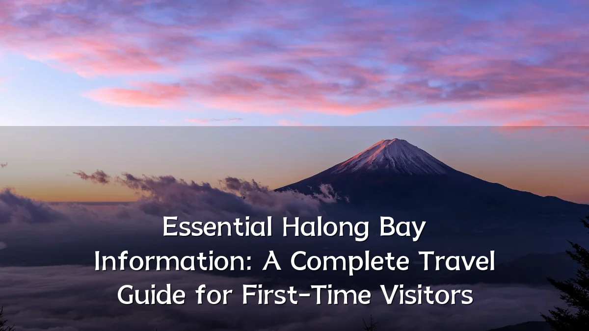 Essential Halong Bay Information: A Complete Travel Guide for First-Time Visitors