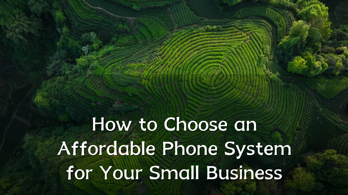 How to Choose an Affordable Phone System for Your Small Business