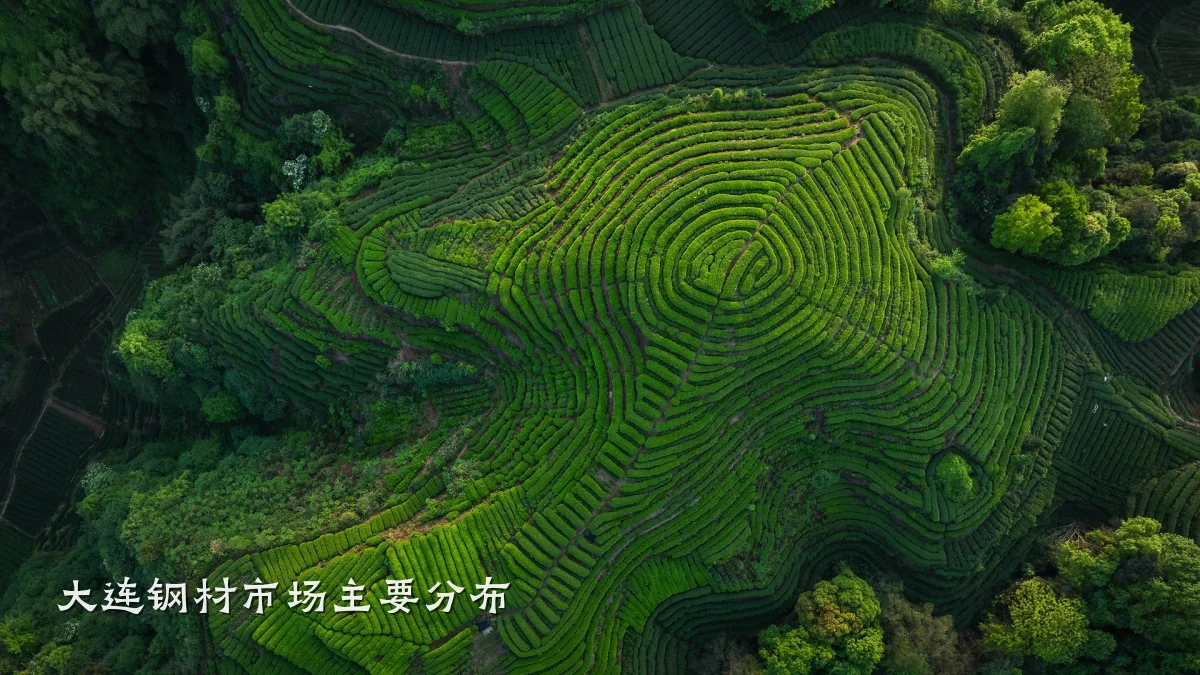 大连钢材市场主要分布