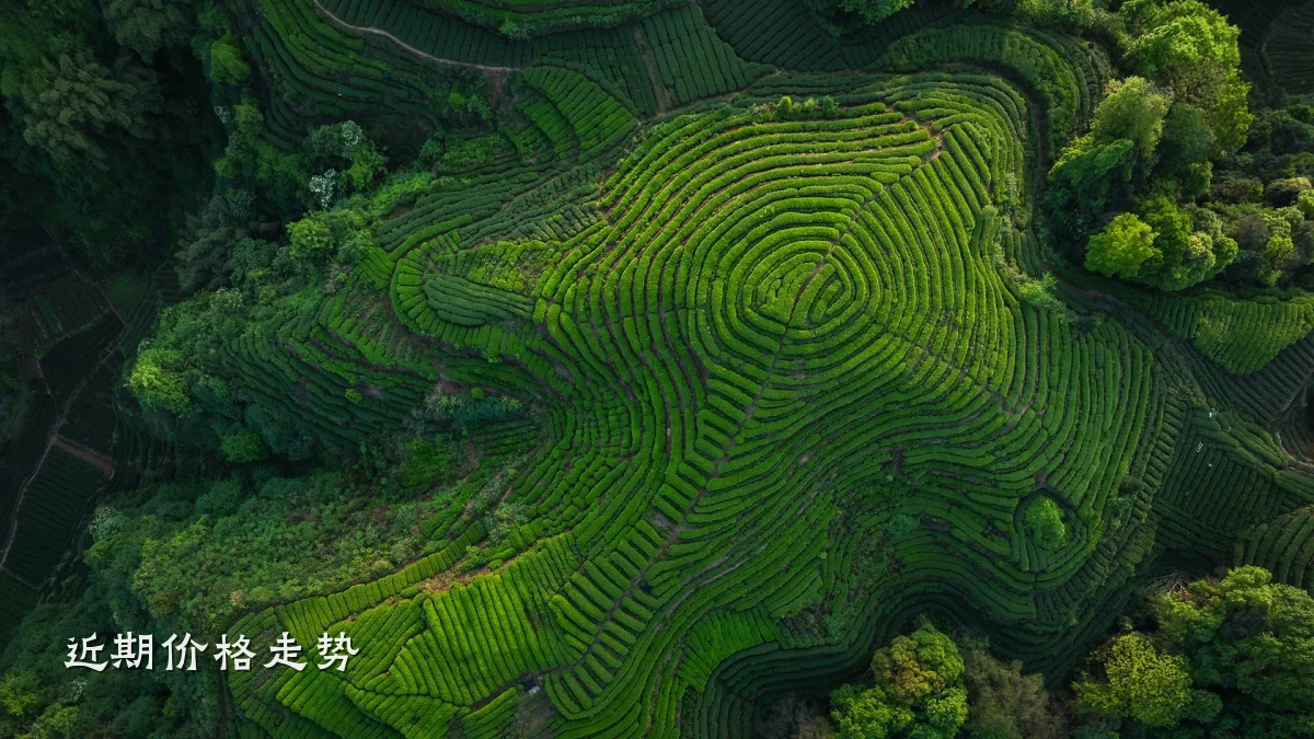 近期价格走势