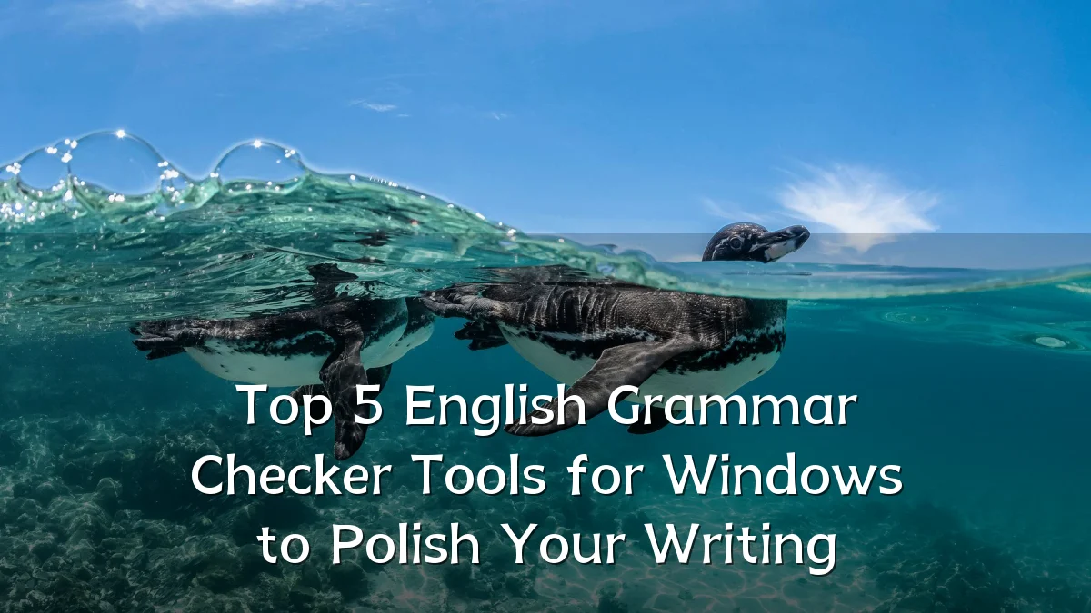 Top 5 English Grammar Checker Tools for Windows to Polish Your Writing