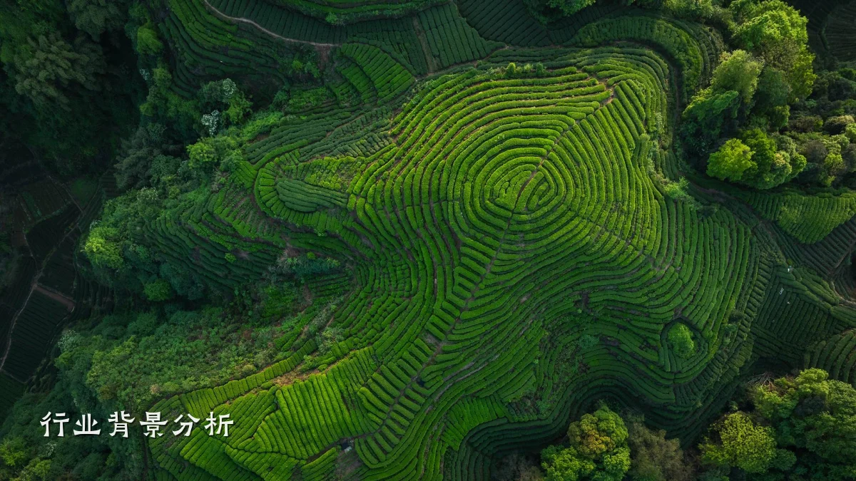 行业背景分析