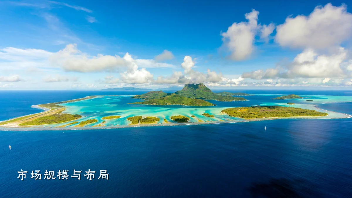 市场规模与布局