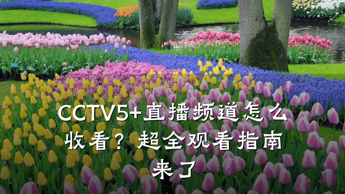 CCTV5+直播频道怎么收看?超全观看指南来了