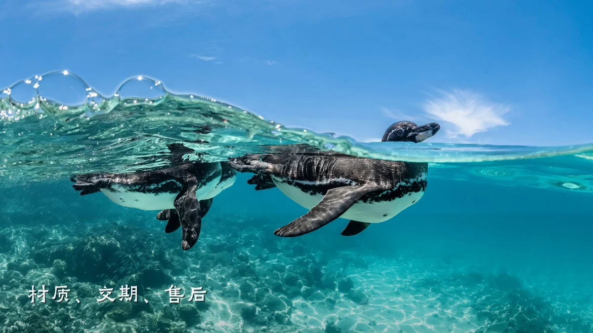材质、交期、售后
