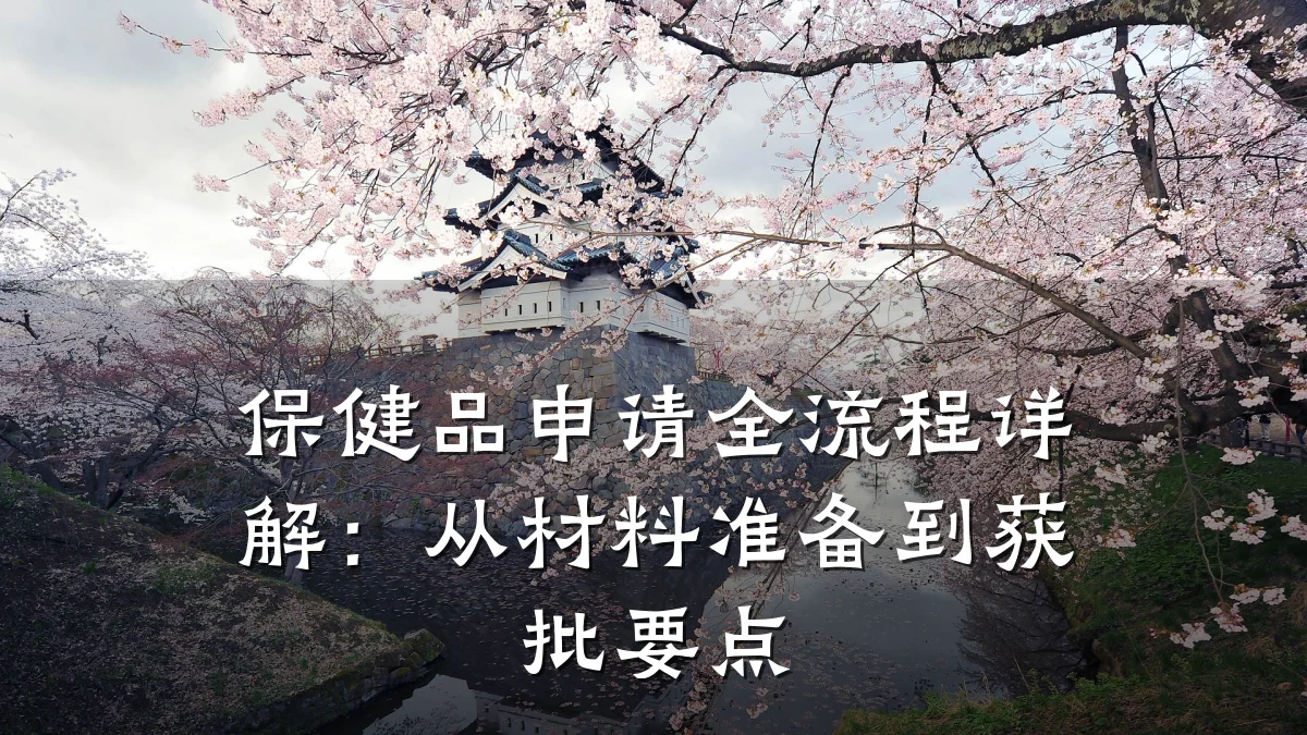 保健品申请全流程详解：从材料准备到获批要点
