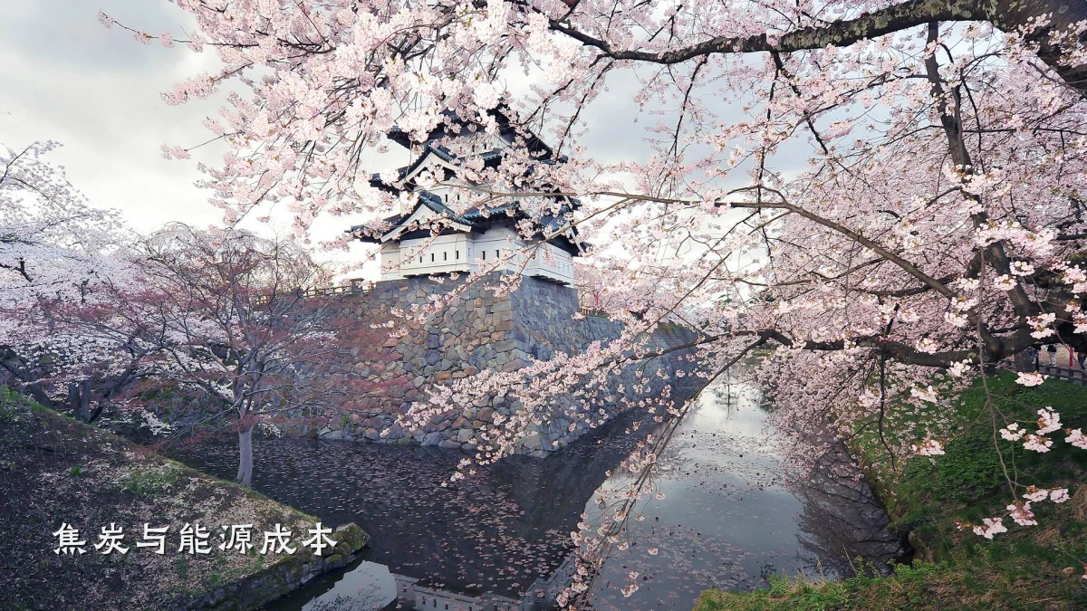焦炭与能源成本