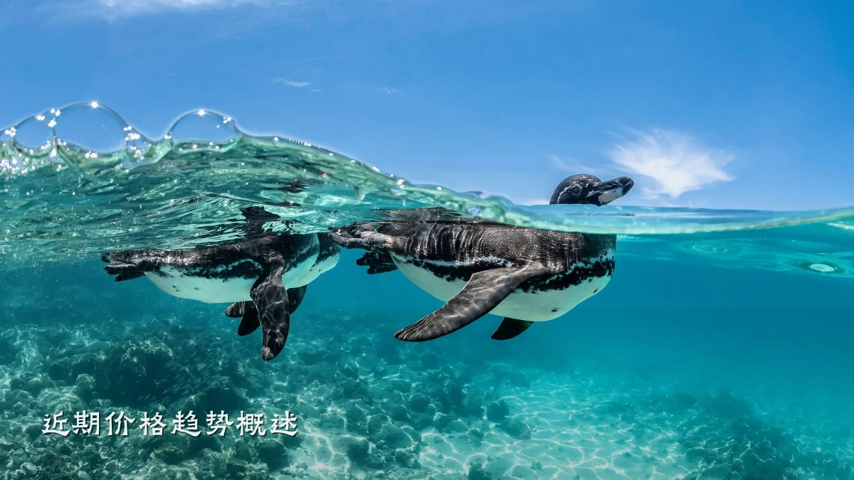近期价格趋势概述
