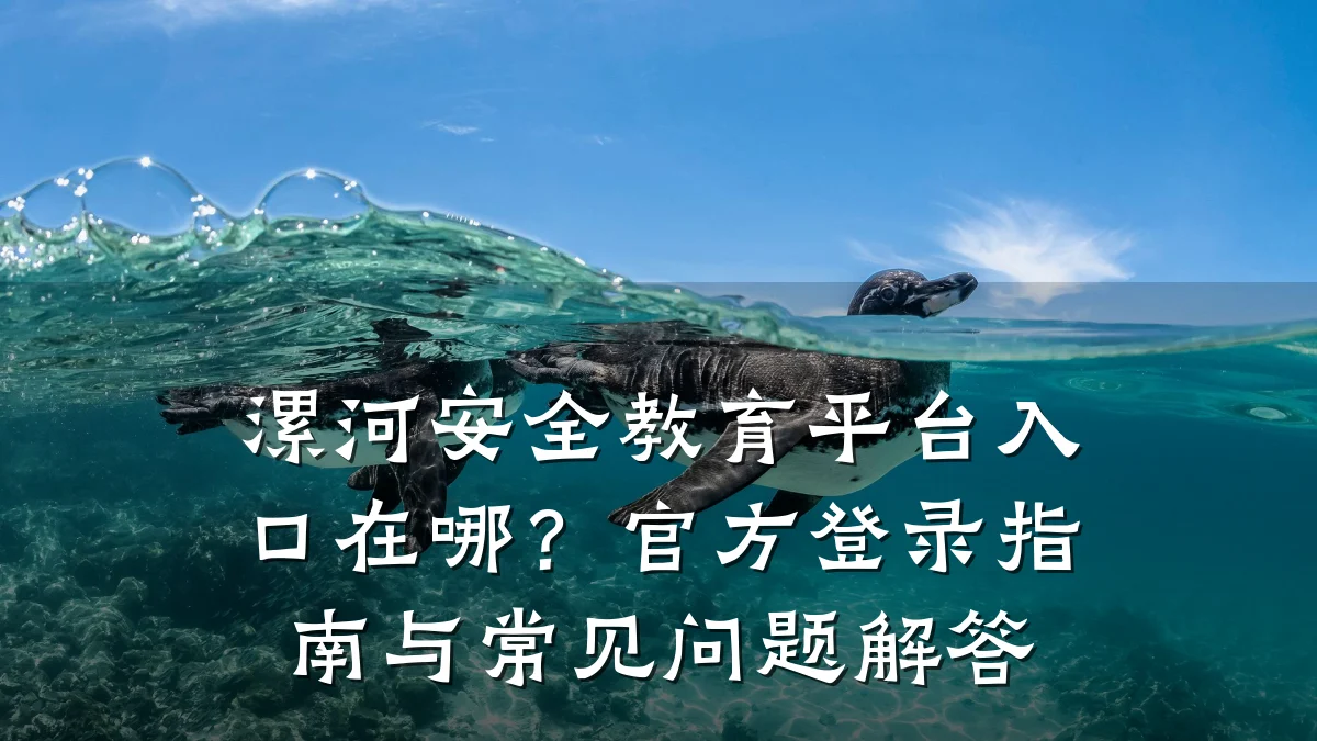 漯河安全教育平台入口在哪?官方登录指南与常见问题解答