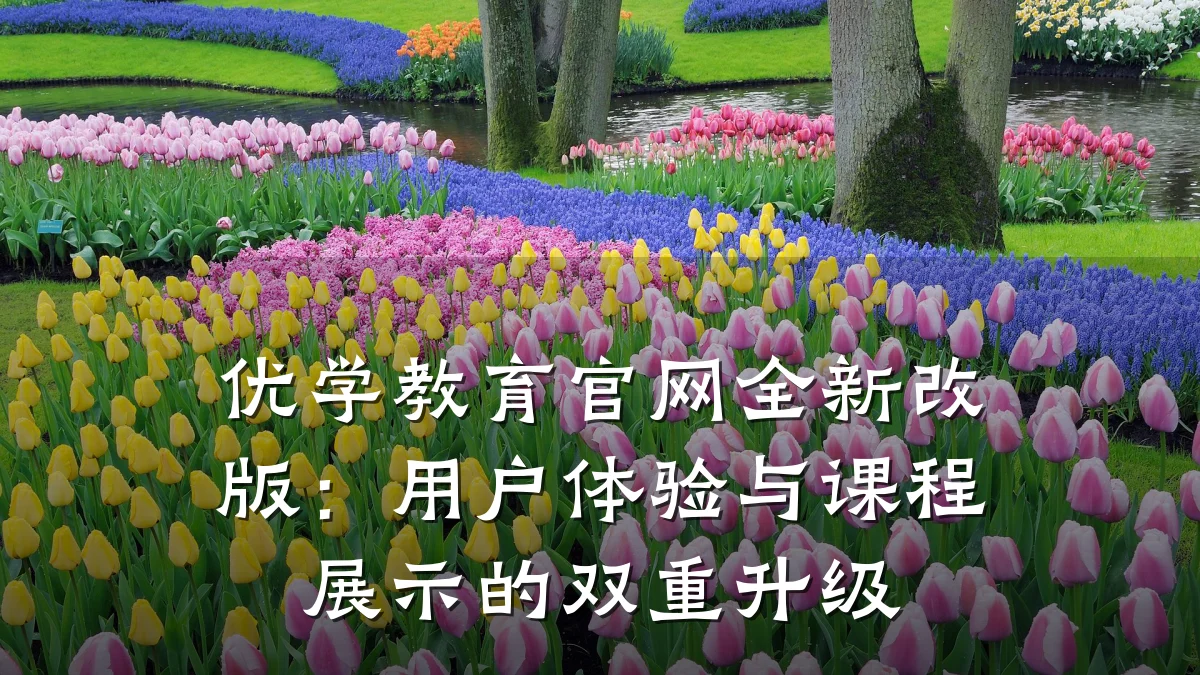 优学教育官网全新改版:用户体验与课程展示的双重升级