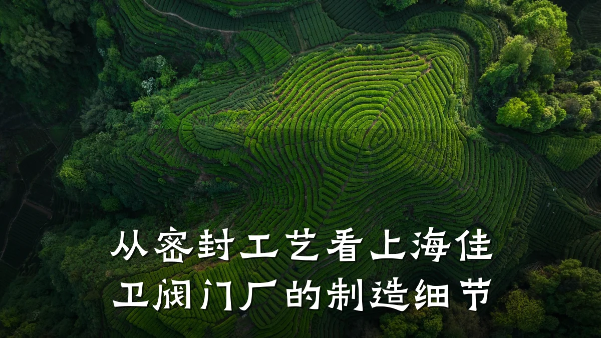 从密封工艺看上海佳卫阀门厂的制造细节